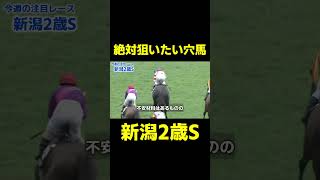 絶対狙いたい穴馬 新潟2歳S ケイアイテンジン #競馬 #競馬予想 #新潟2歳s #新潟2歳ステークス