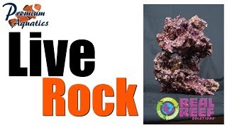 Real Reef Rock