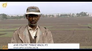 የአርሲ ዞን አርሶ አደሮች “ኢኮ ግሪን” የተፈጥሮ ፈሳሽ ማዳበሪያ ውጤታማ መሆኑን ተናገሩ