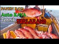 PESTA KAKAP MERAH - Alan Fishing Mania