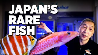 Rare fish collection in Osaka, Japan!!  Koji Wada's Blue Harbor Aquarium