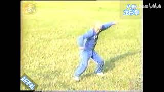 巴渝武術典藏（三）八卦門八卦龍形掌 趙子虯 #martialarts #kungfu