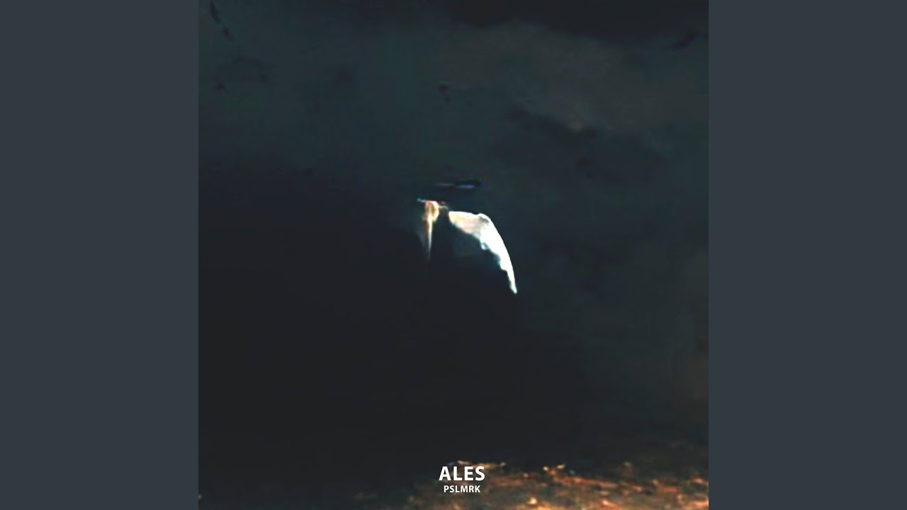 Ales Youtube Music