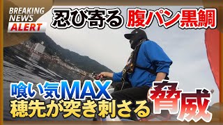 【かかり釣り】仕掛け投入からチヌが釣れるまで。置き竿では釣れないと言うが･･･