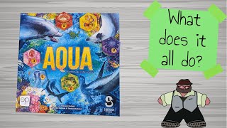 Aqua: Biodiversity in the Ocean - What does it all do?