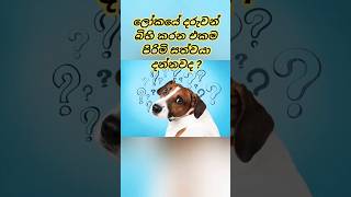 හැම පිරිමි සතෙක්ටම වඩා වෙනස් කෙනා කව්ද කියල දනගන්න.#shorts# facts#seahorse#different#nature#quiz#