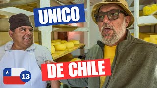 🫨ES EL UNICO DE CHILE Y QUISIMOS IR A CHANCO PARA CONOCERLO! Asi es EL MADURO CHILENO PREFERIDO🇨🇱😁