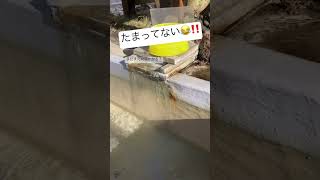 温泉 足湯 冷え性にはありがたい 温まりたい #shorts #冬 #血行促進