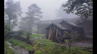 【山居生活】00後隱居一年，談怎麼活著，才不算浪費生命