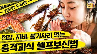 [#기묘한수사반] 몸보신용으로 전갈이랑 불가사리를 튀겨 먹고 도마뱀으로 술을 담가 먹는 화성인 등판😳 쉽지 않네;│#화성인X파일 #디글 | CJ ENM 120703 방송