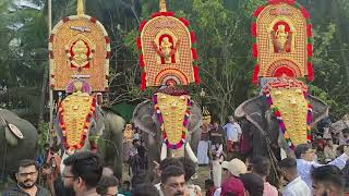 Chiravarambathukavu ✨💫🔱temple pooram 2025  #aruvayi #chiravarambathukavu temple #Thrissur #pooram #💫