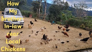 A look at how my brother in-law is rearing local Chickens at Khulazu Basa Village.