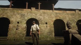 An Extremely Rare Roof Boar in Guarma,  in Red Dead Redemption 2