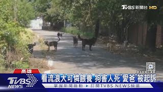 高雄男閃流浪犬遭撞死! 駕駛無罪「餵狗多年」檢起訴老闆｜TVBS新聞 @TVBSNEWS02