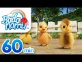 Animal Songs Badanamu Compilation | Nursery Rhymes & Kids Songs