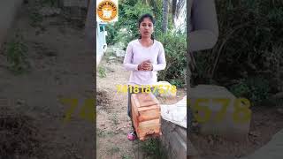 அடி பலகை எப்படி clean பண்ணுறது? #tamil #shorts #sudhahoney #sudhahoneybeefarm #beekeeping #business