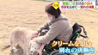 県内最初の介助犬“クリーム”この夏 引退へ―