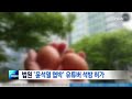 법원 윤석열 협박 유튜버 석방 허가…보증금 납입 조건 굿모닝mbn