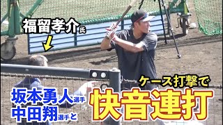 中田翔選手、坂本勇人選手、絶好調の打球音！福留孝介氏も視察に登場！読売ジャイアンツ 春季キャンプ ケース打撃