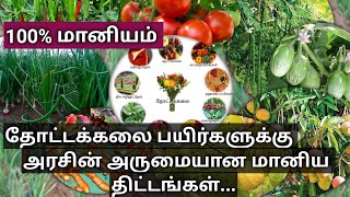 தமிழக அரசின் தோட்டக்கலை பயிர்களுக்கு 100% மானிய திட்டங்கள்| Government subsidy in Horticulture crops