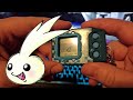 vpet vlog ep 1 deep savers pendulum z