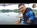 mancing vlog ke 3 penasaran sama lapak ini || Mancing Bleseng mania