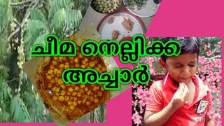 ചീമ നെല്ലിക്ക അച്ചാർ||Sumis tips world 😛😛