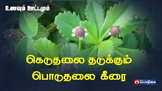 கெடுதலை தடுக்கும் பொடுதலை கீரை |  உணவும் ஊட்டமும் | 09 - 08 - 2022