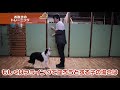 愛犬のお散歩の引っ張り解決！お散歩前の準備からお散歩中の方法まで全てお教えします！