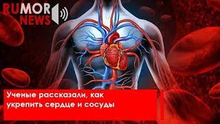 Ученые рассказали, как укрепить сердце и сосуды