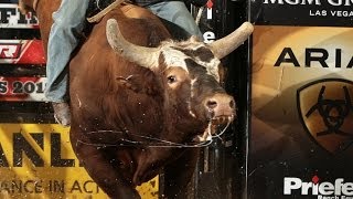 Top Bull Scores of 2013 (PBR)