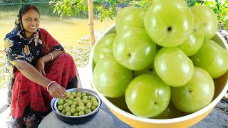 সর্দি কাশি গ্যাস অম্বল দূর করতে আমলকী এইভাবে একবার খেয়ে দেখুন দারুন উপকার পাবেন | amla recipe