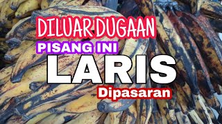 DILUAR DUGAAN PISANG INI LARIS DIPASARAN