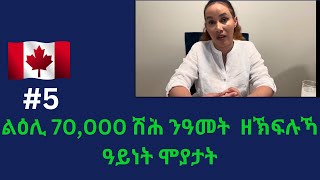 ኩሉ ክፈልጦ ዘለዎ ፥ኣብ ካናዳ ጽቡቕ $$ ክፍሊት ዘኽፍሉ 4 ሞያታት 2024መልሲንሕቶታትኩም።#eriteafilm#Eritrea#erivibes #canadalife