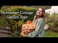 November Cottage Garden - 1000s of bulbs to plant, autumn colour and runner ducks