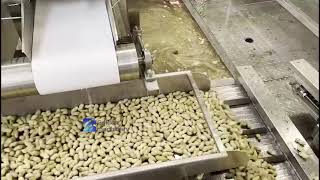 Inshell Peanut Washing Line Machine Test Video | Peanut Precleaning Equipment Turnkey Plant Solution