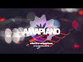 amapiano_x_electronicmusic_instrumental _''barbecue''