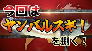 はまさんの　海上釣堀　ヤンバルスギを捌く！編