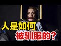 [壹心理] 人是如何被一步步驯服的? 女孩爱上虐待狂!