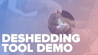 Andis Deshedding Tool Demo by Michell Evans