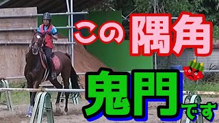 【乗馬初心者】脚扶助で解決！馬へのアプローチを変えよ！先に先に考える！それが乗馬！