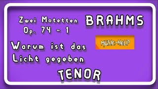 TENOR - Brahms - Warum ist das Licht gegeben - op. 74 1