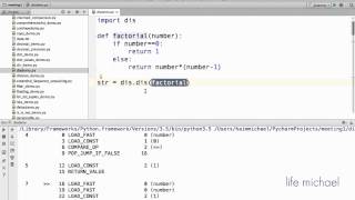 The Python Byte Code