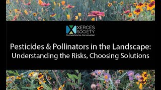 Pesticides \u0026 Pollinators in the Landscape Understanding the Risks, Choosing Solutions