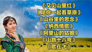 《又见山里红》《陪你一起看草原》《山谷里的思念》《纳西情歌》