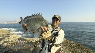 #034 水辺の大都市・香港　磯にシロチヌを求めて