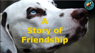 A Story of an Elephant and a Dog | Inspirational Story on Friendship | Success Mindset Motivation