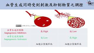 CH06-5. 血管的生成：多細胞生物體內高速公路的構築過程 / 李心予教授