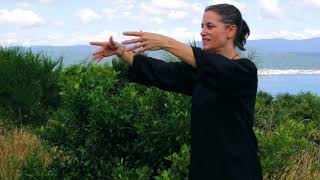 Modules 1 - 5 Review - Tai Chi 5 Minutes a Day