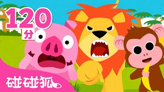 動物兒歌 🐒 猴子香蕉 獅子兒歌 | 連續播放 臺灣配音兒歌 英語兒歌 童謠 Kids Songs | 鯊魚寶寶 Baby Shark 碰碰狐 Pinkfong!